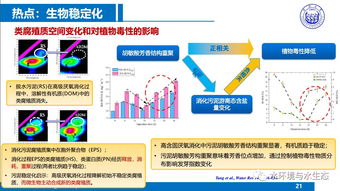 城市污水廠污泥處置工藝技術(shù)路線——同濟(jì)戴曉虎教授技術(shù)推廣
